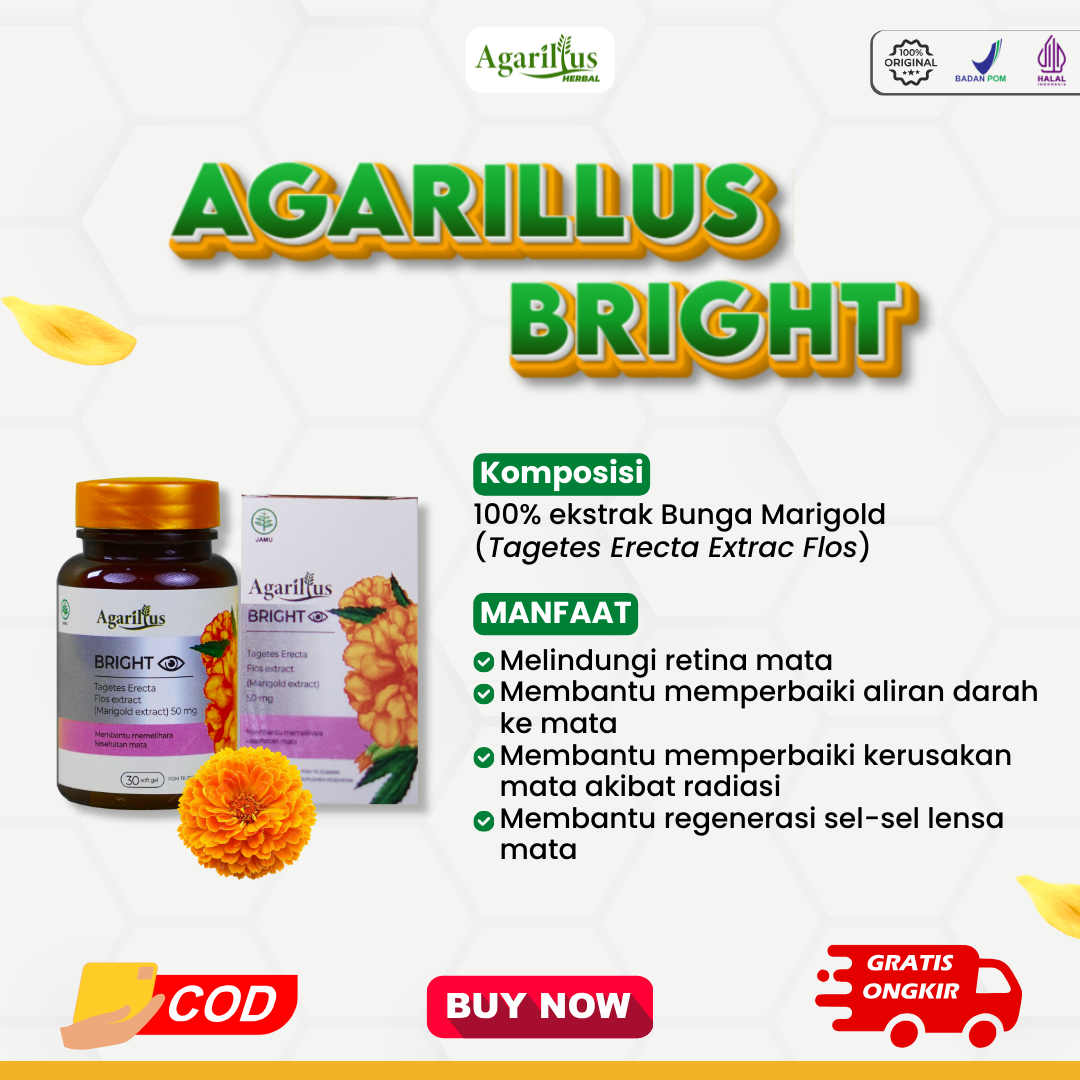 Agarillus Bright - Foto 3